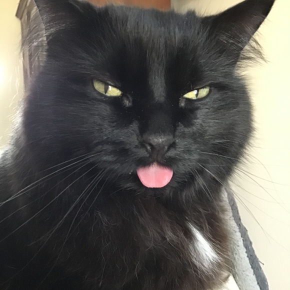 Meet your Posher, Susanne - Picture 9 of 16